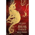 asesino-de-brujas-2-nuvols-de-regals