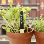 marcadores-plantas-reutilizables-nuvols-de-regals-2