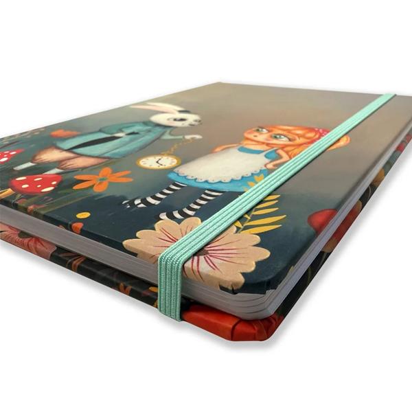 uaderno-ilustrado-alice-nuvols-de-regals-1