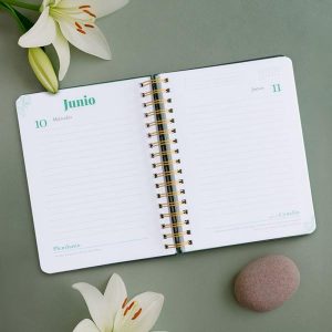 agenda-anual-diaria-2026-diccionariovip -1