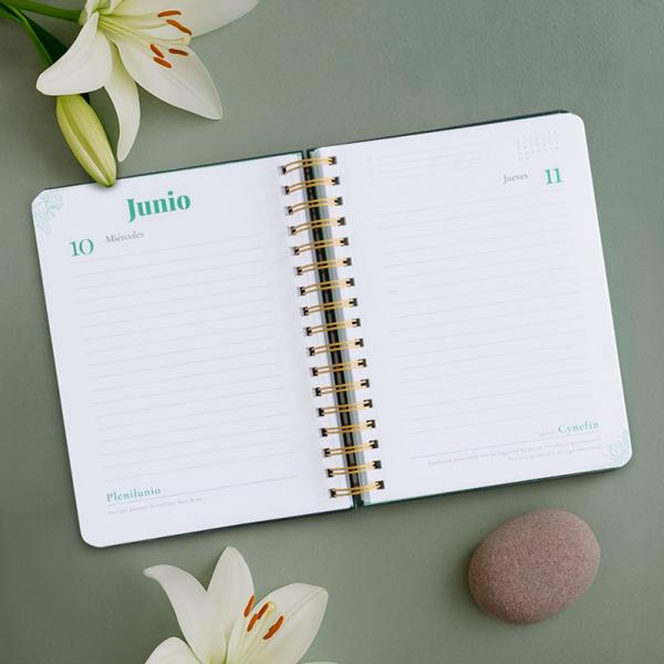 agenda-anual-diaria-2026-diccionariovip -1