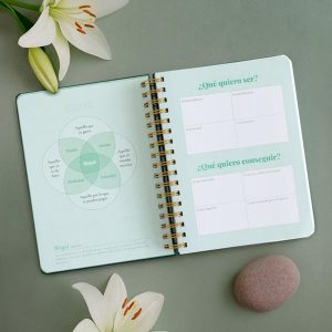 agenda-anual-diaria-2026-diccionariovip -3