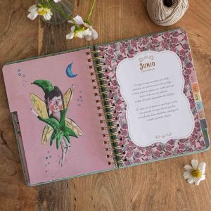 agenda-anual-semanal-2026-aitor-saraiba-5