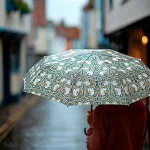 paraguas-plegable-william-morris-pimpinela-3