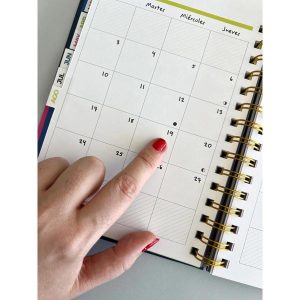 agenda-2026-semanal-pedrita-parker-13