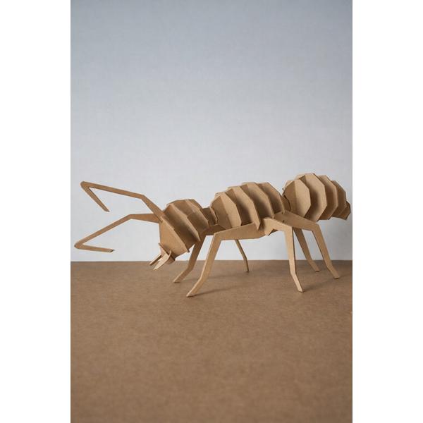 hormiga-carton2