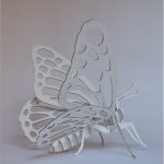 mariposa-blanco