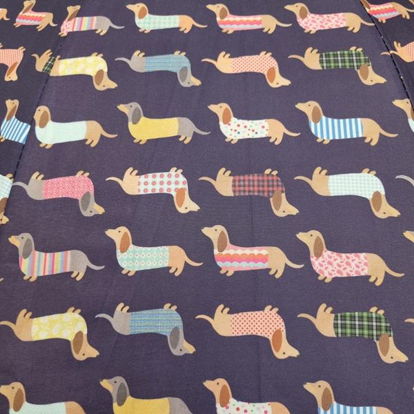 paraguas-morado3 paraguas-morado3