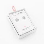 pendientes-plata-estrella